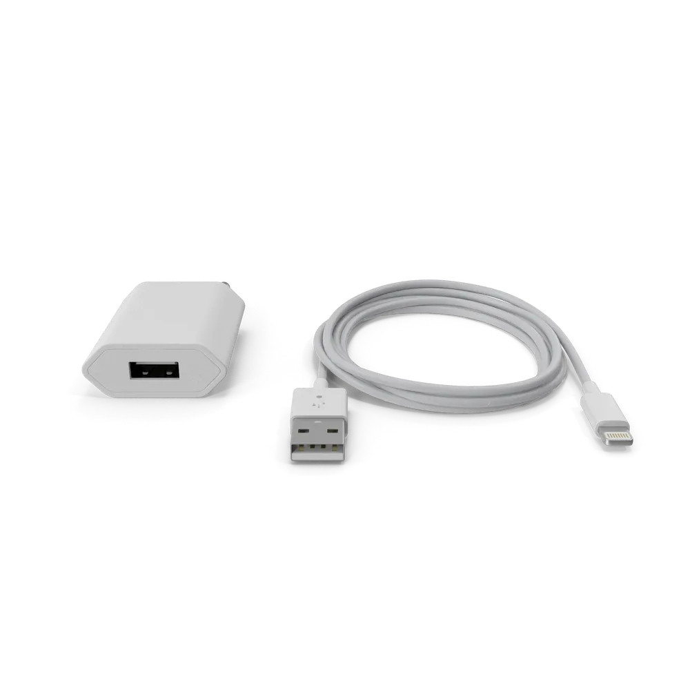 Apple iPhone Charger — New